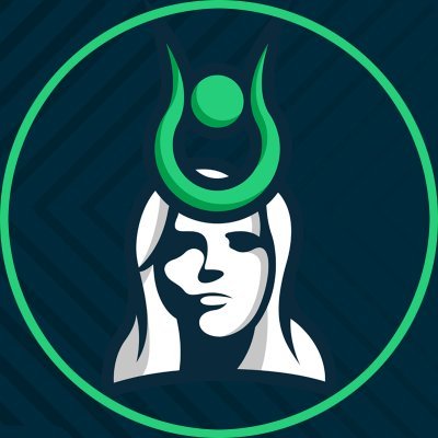 Organización profesional de #esports en 🇲🇽 | Participación en @valesports_la | TUS SUEÑOS TE DARÁN LA VICTORIA ✌🏼 info@vi4esports.com