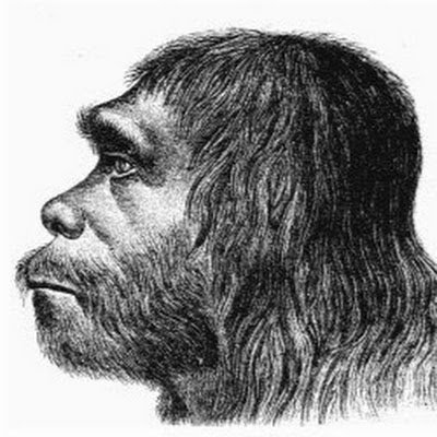 TiranYoav's profile picture. 