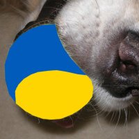 GoldenCSO (@goldencso) 's Twitter Profile