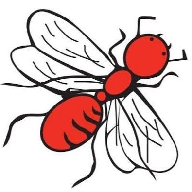 Chicatana3's profile picture. 🇲🇽 ii caminando despacio, que la vida es corta, y chingando quédito, que de golpe no duele !!
 #RicardoSalinasPliegoesunpeligroparamexico