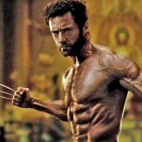 Todo dia uma versão diferente do Wolverine (@tododiawolve) 's Twitter Profile