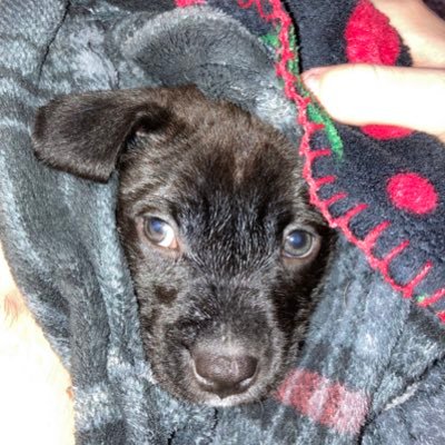 HalfDollarMC's profile picture. 21 | Love u all