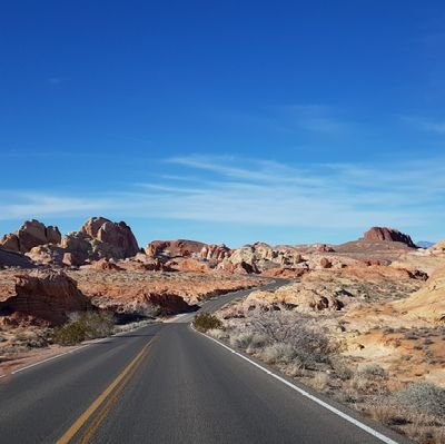 li6erte's profile picture. 