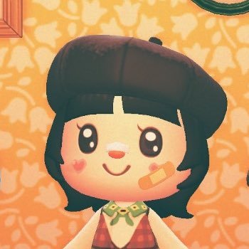 ‘93 | she/her | animal crossing is my form of therapy ♡ fc: sw-6503-7565-8895 ♡
