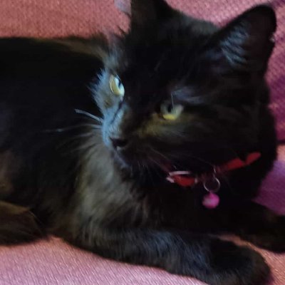 Prettyvain_3574's profile picture. 