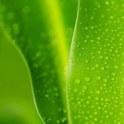 tivativ's profile picture. нецелевые эмоции