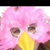 Emsyloe (@emsy_love) Twitter profile photo Emsyloe (@emsy_love) Twitter profile photo