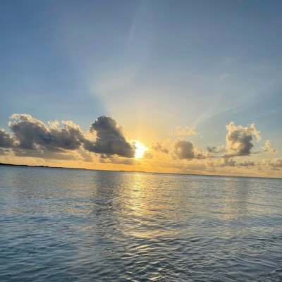 myx1991's profile picture. #Bitcoin