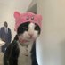 𝒄𝒂𝒏𝒅𝒚𝒈𝒍𝒐𝒔𝒔🎀 (@candygloss11) Twitter profile photo 𝒄𝒂𝒏𝒅𝒚𝒈𝒍𝒐𝒔𝒔🎀 (@candygloss11) Twitter profile photo