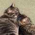 つよいねことやわいねこ (@iw7bvmb2iototmf) Twitter profile photo