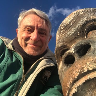 MassimoAlberiz1's profile picture. 