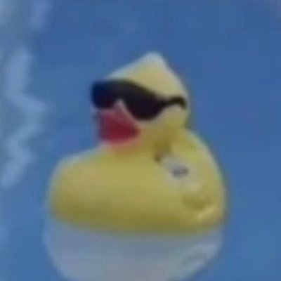 FSGzee's profile picture. Im an editor for 1 and a half channels.