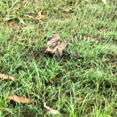 Brett53668982's profile picture. Hi want to be friends