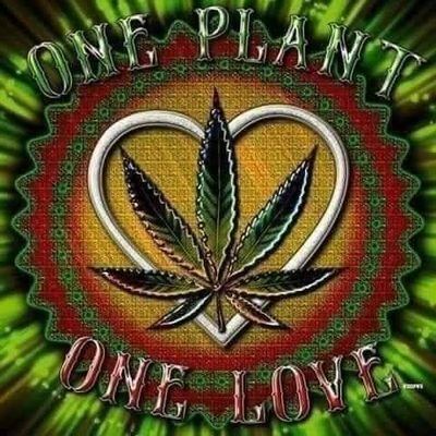 GimpieSorensen's profile picture. From Detroit, MI