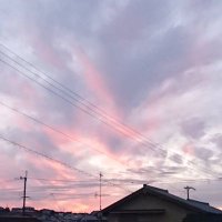 cumi (@cumi_soliloquy) 's Twitter Profile