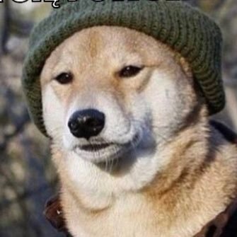 ShadowWsw's profile picture. 