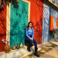 Hande (@handenurtoksoy) 's Twitter Profile