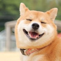 ぽちすけ (@pochisuke4589) 's Twitter Profile Photo ぽちすけ (@pochisuke4589) 's Twitter Profile Photo