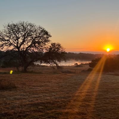 moto_scro's profile picture. 