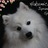 Hakumichi_Dogs's profile image