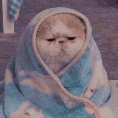 girljovem's profile picture. uma menina cheia de harmonia