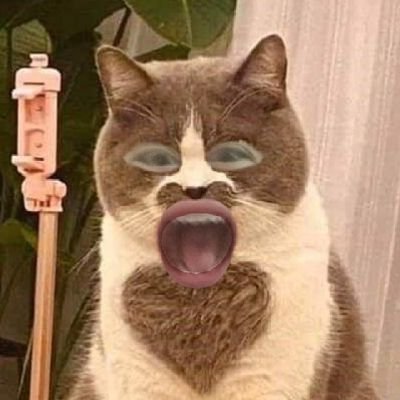 dxm_hmi's profile picture. ig : atp_ye
rov :  สาวคาสิโน•~•