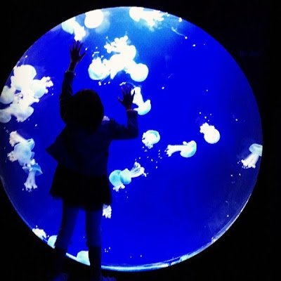 HuangHyven's profile picture. Like is a journey, living the dream.