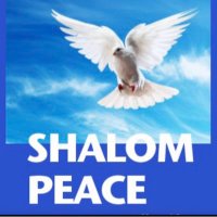 Shalom Peace(@ShalomP82238973) 's Twitter Profile Photo