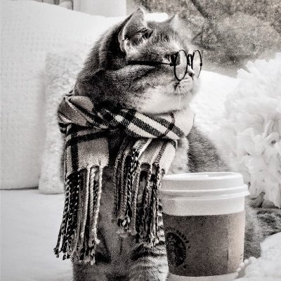 maverick21_kai's profile picture. 