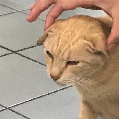 bttso_o's profile picture. æ