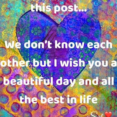 galindo_shaida's profile picture. 