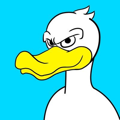 NFT Creator | Software Engineer | love 🦆