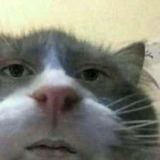 LLDbFu3zMim1PCW's profile picture. 