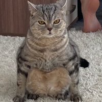 Максим Иванович (@extentt) 's Twitter Profile