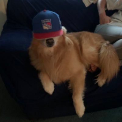 BlazingNewPaths's profile picture. Originally made this for my website (never built). Now I use it for all things gambling. 🤷🏻‍♂️