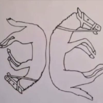Genilso43866571's profile picture. 