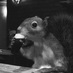Iain R. Walker (@landocleve) Twitter profile photo