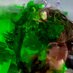LitBowlChess (@themarxmachine) Twitter profile photo LitBowlChess (@themarxmachine) Twitter profile photo