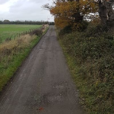 Mraltseasonsoon's profile picture. Alt season soon