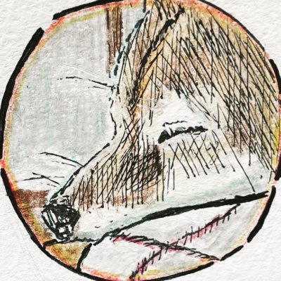 picoryさんのプロフィール画像