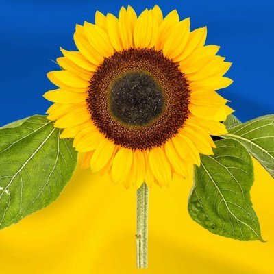 realFvJupiter's profile picture. Ho ho hey hey, Western Culture's got to stay!