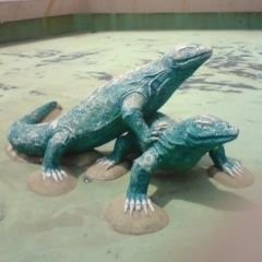 swanintherain's profile picture. 
