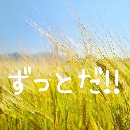 ソラン💫さんのプロフィール画像