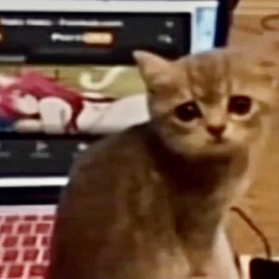 trimzyxD's profile picture. 