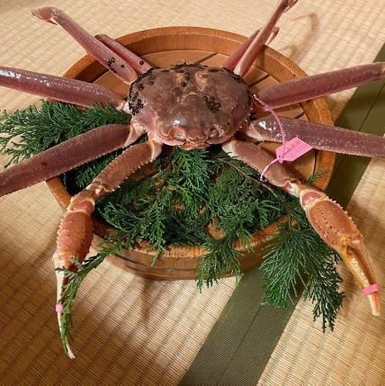 IffsMYm80kmDM46's profile picture. 還暦をとうに過ぎました。
若い頃は、60歳…爺だなぁと思ってました。
いざ、なってみたら、なぁんだ、まだまだやれるじゃん。と思ってます。