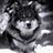 johnnyf88's profile image
