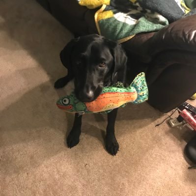 billwish's profile picture. Father 15 year Youth Athletic Coach Tourism Exec Independent Tax payer since age 16 GB BREWER WI MU AVs fan Never lose your inner child, have fun every day