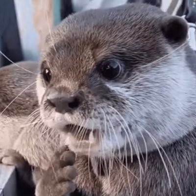 Alexrml3's profile picture. 