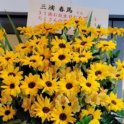 ☘️T.K-1982からアカ名変更しました😊　　　　　　　　　
春馬くんの好きな花🌻
向日葵も本数で花言葉があるのを知っていますか？　　　　
基本いいねです🤗