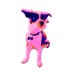 Foster Animals (@fosteranimal) Twitter profile photo